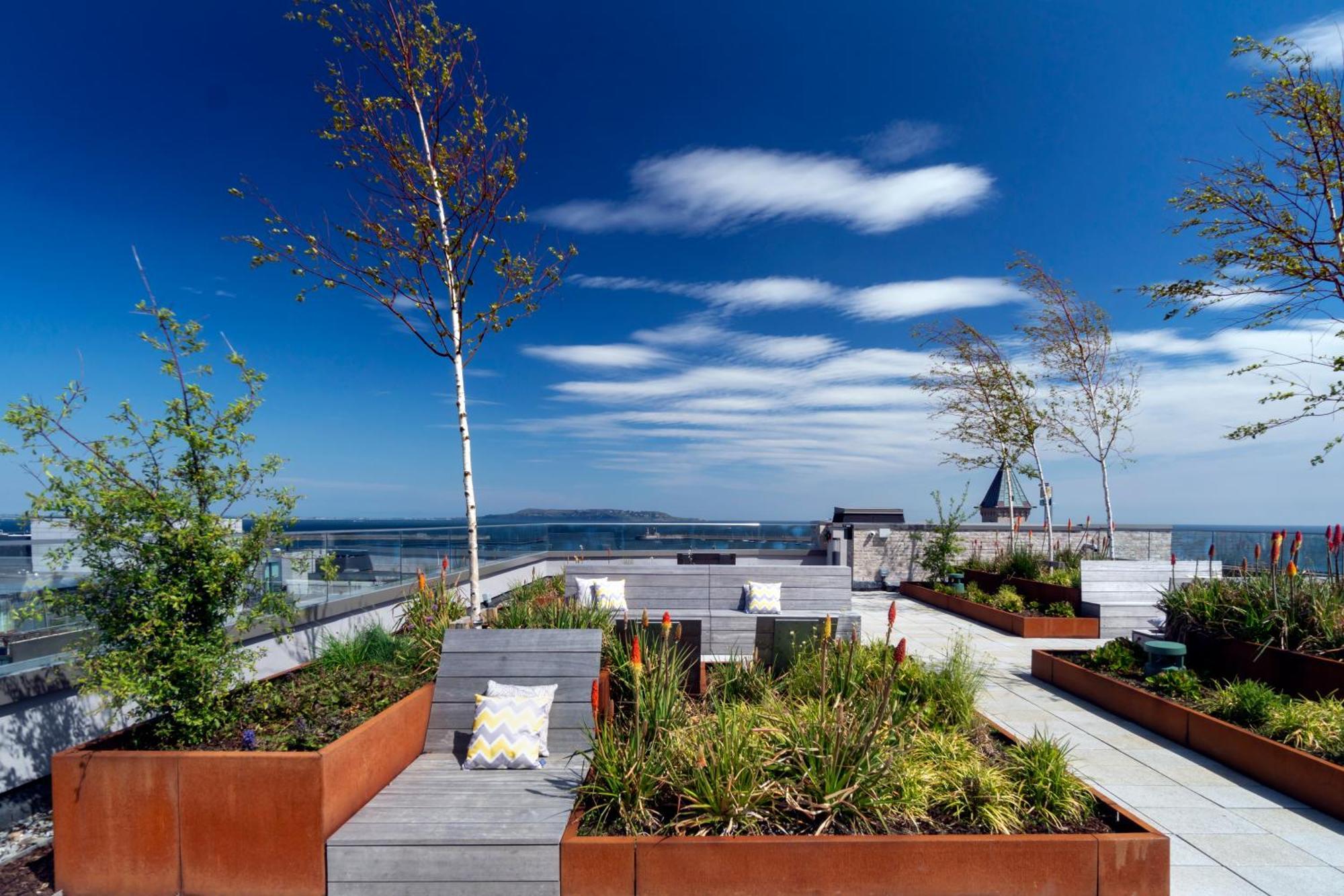 Niche Living - Dun Laoghaire Dublin Extérieur photo